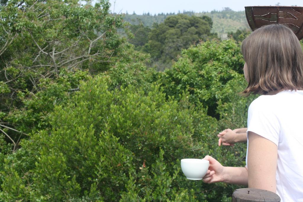 Redbourne Country Lodge - Lion Roars Hotels & Lodges Plettenberg Bay Eksteriør bilde